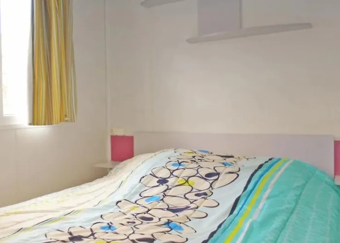 3 étoiles - Ccbaeih *